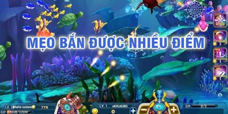 mu 88 đá gà