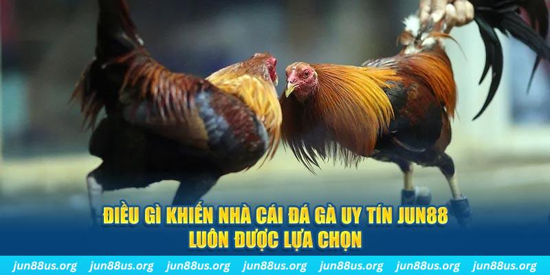 mu 88 bắn cá 30