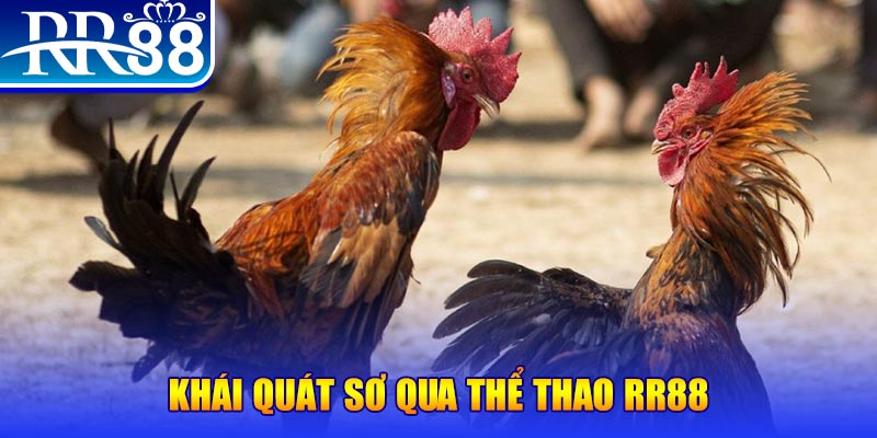 mu 88 nổ hũ là như thế nào