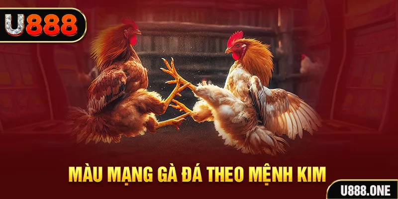 mu 88 gà chọi tiêu phong