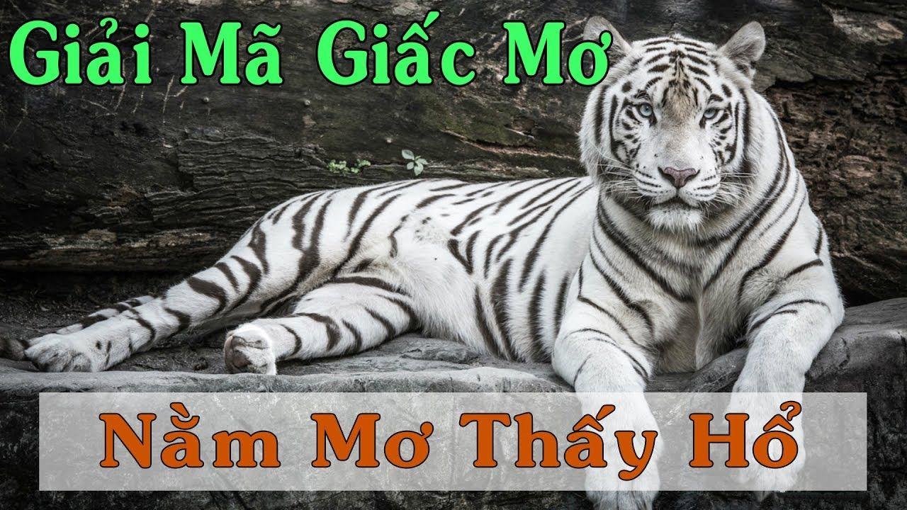 mu 88 xổ số miền trung