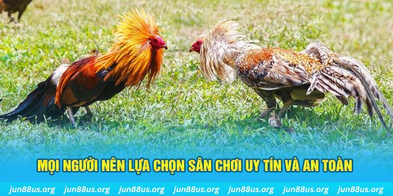 mu 88 hơn cả bạn bè