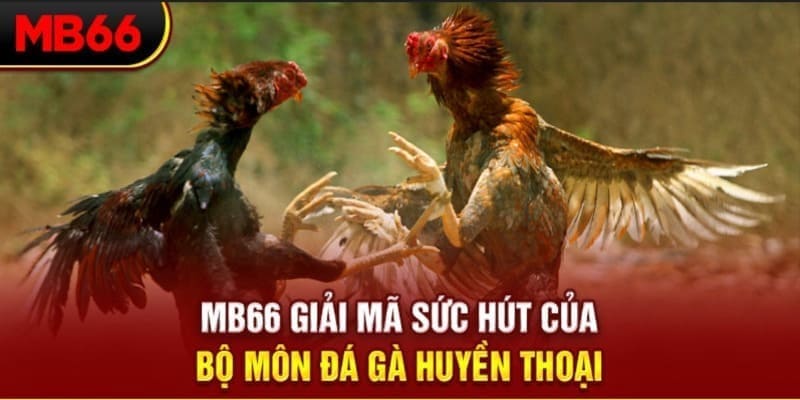 mu 88 long bảo trong baccarat là gì