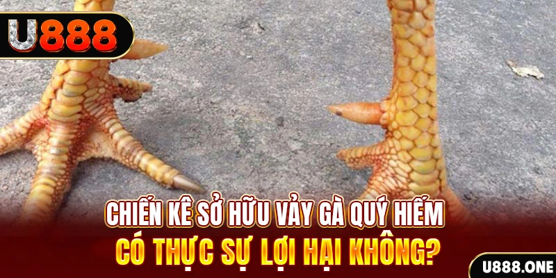 mu 88 game cá cược máy bay