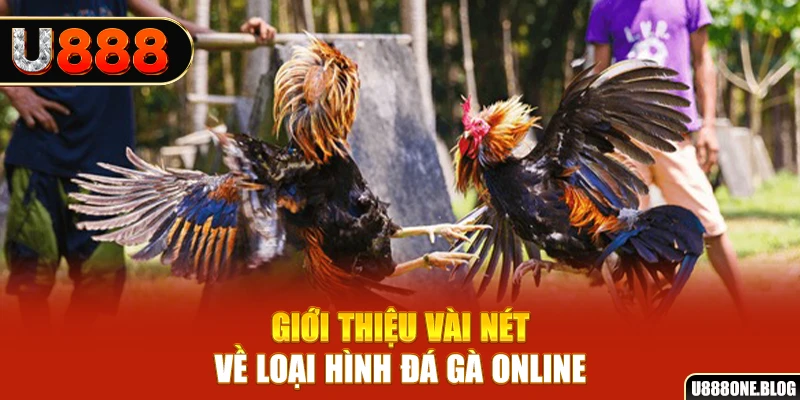 mu 88 xổ số miền nam thứ ba