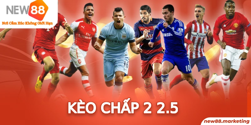 mu 88 trực tiếp đá gà thomo