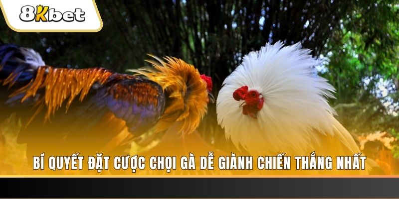 mu 88 may club nổ hũ