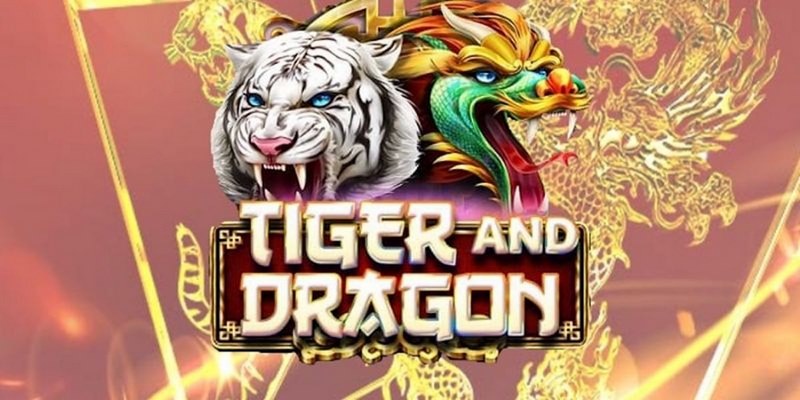 mu 88 cá cược tiếng anh là gì