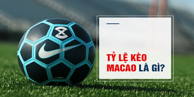mu 88 Trăm Knorr